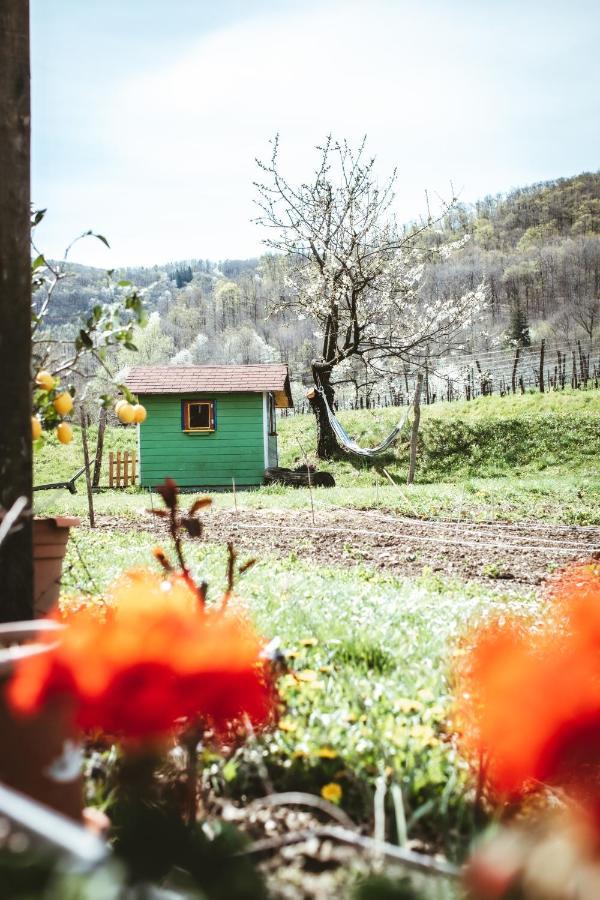 Apartma Moser Podnanos Екстер'єр фото
